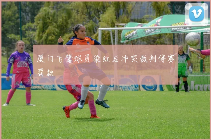 厦门飞鹭球员染红后冲突裁判停赛罚款